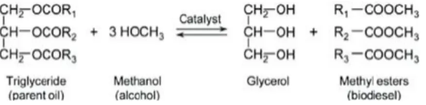 Figure  2:  A  simplified  version  of  the  transesterification  reaction.  In  this  reaction  methanol is used separate the three fatty acid molecules from the glycerol backbone and  produce FAMEs