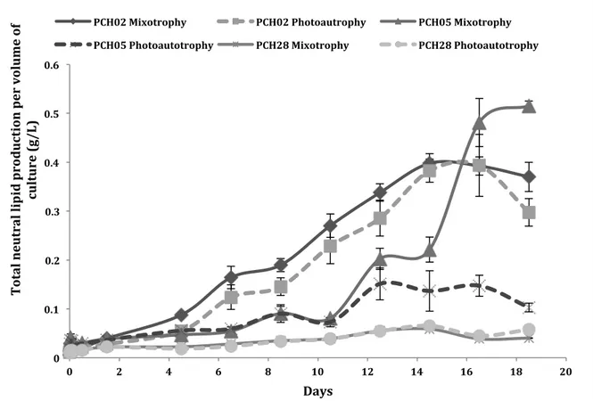 Figure  5:  Total  lipid  production  for  PCH02,  PCH05  and  PCH28  under  nitrogen  starvation