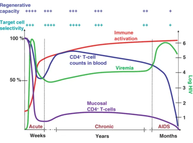 Figure 4. La pathogénèse de l’infection par le VIH 