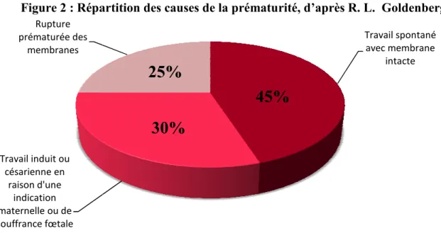 Figure 2 : Répartition des causes de la prématurité, d’après R. L.  Goldenberg