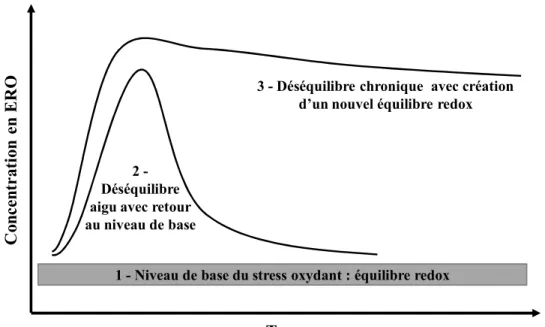 Figure 3 : Modification de l’équilibre rédox cellulaire par la production aigue  ou chronique des ERO, adapté de (Droge 2002)