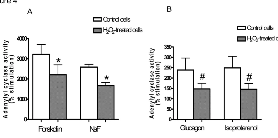 Figure 4. Effect of hydrogen peroxide on agonist-mediated stimulation of adenylyl cyclase in aortic vascular smooth muscle cells (VSMC)