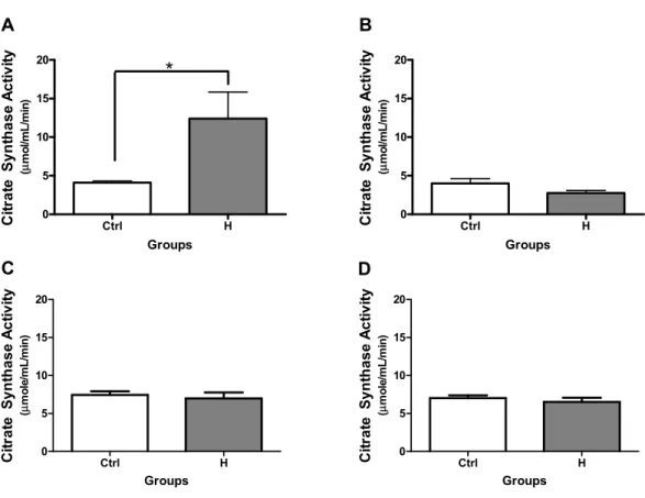 Figure 1: Citrate Synthase Activity.  Citrate synthase activity (μmol/mL/min) in kidneys from 16  week old adult male (A) and female (B) rats, and 4 week old male (C) and female (D) rats  exposed to high oxygen (80% O 2 ) from day 3 to 10 of life (H, n=6 p