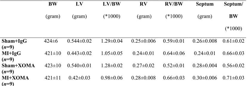 Table 2.    Body and heart weights of sham and MI rats treated with 0.1 mg/kg of IgG  