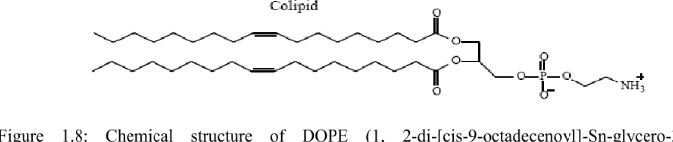 Figure  1.7:  Chemical  structure  of  DOTAP  (N-[1-(2,  3-dioleoyloxy)  propyl]-N,  N,  N- N-trimethylammonium methylsulfate)