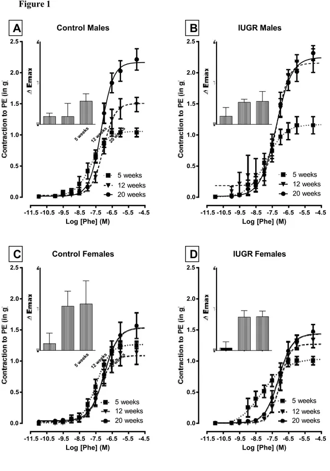 Figure 1  5 weeks  12 w 20 wee eeks ks  5 weeks  12 w 20 wee eeks ks  5 weeks 12 w20 week eeks s 2.5 Control Males A B2.5 IUGR Males 2.0 1.5 1.0 2.0 1.5 1.0 0.5 0.0 5 weeks 12 weeks 20 weeks 0.5 0.0   -11.5 -10.5  -9.5   -8.5   -7.5   -6.5   -5.5   -4.5 Log [Phe] (M)  -11.5 -10.5  -9.5   -8.5   -7.5   -6.5   -5.5   -4.5 Log [Phe] (M) 2.5 Control Females 2.5 IUGR Females 2.0 1.5 1.0 0.5 2.0 1.5 1.0 0.5  0.0  0.0     -11.5 -10.5  -9.5   -8.5   -7.5   -6.5   -5.5   -4.5  Log [Phe] (M)  -11.5 -10.5  -9.5   -8.5   -7.5   -6.5   -5.5   -4.5 C DLog [Phe] (M) 