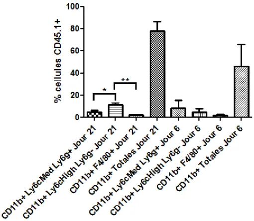 Figure 9 : Caractérisation des populations myéloïdes de la tumeur au jour 21.  