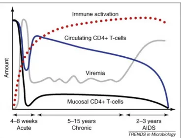Figure 9. Progression de l’infection au VIH-1 vers la phase SIDA (Forsman and  Weiss 2008)