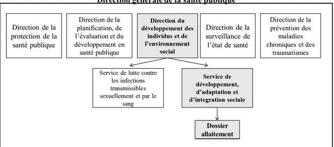 Figure 4. Organisation administrative de la DGSP, en 2008, par rapport au dossier allaitement 