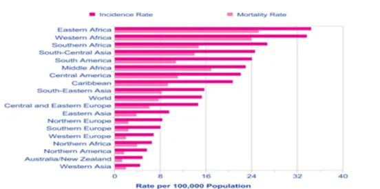 Figure 1. Répartition mondiale des taux d’incidence et de mortalité  du VHP [1] (Autorisé par l’auteur) 
