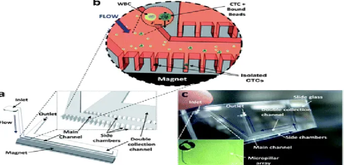 Figure I.6. Schematic presentation of the integrated micomagnetic-microfluidic device