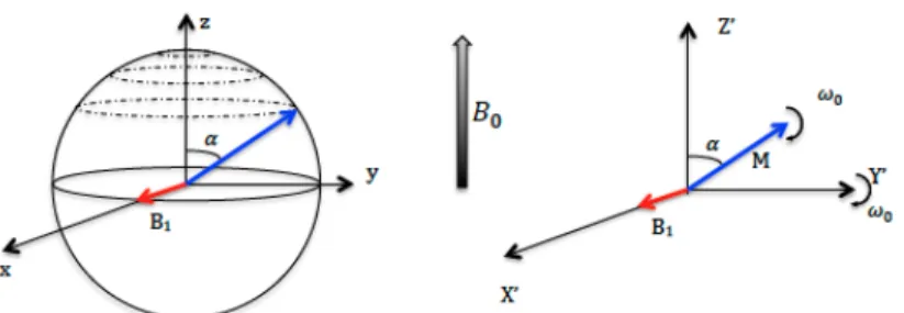 Figure 1.2 – Magnetization M z is flipped by angle alpha using the field B 1 . The left frame