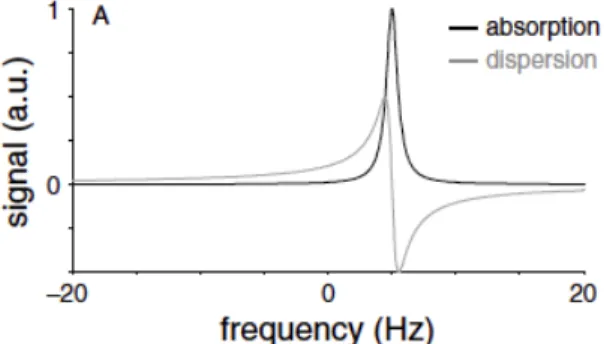 Figure 1.4 – Components of a NMR spectrum; the non-zero initial phase of the FID induces the absorption and dispersion components, Figure taken from [1].