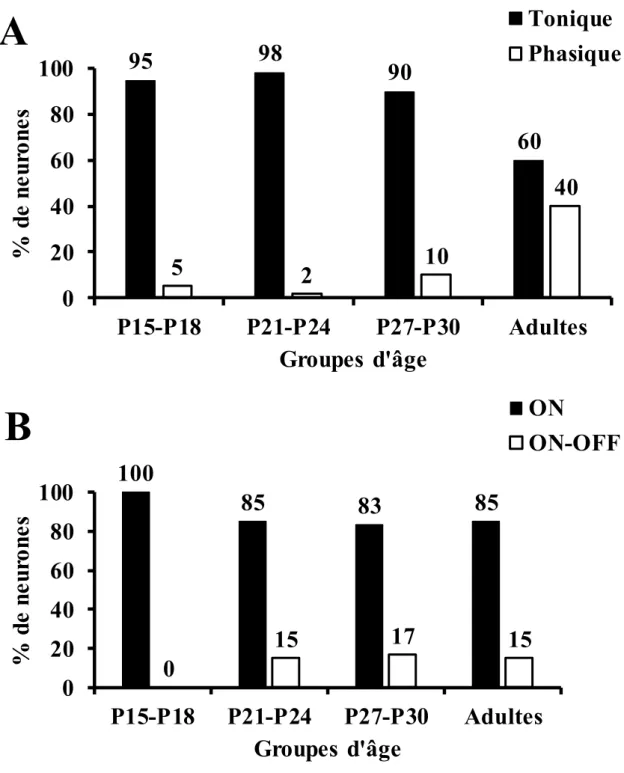 Figure  5:  Pourcentage  de  neurones  auditifs  présents  dans  les  couches  intermédiaires  et  profondes du collicule supérieur du rat lors de la présentation de bruit gaussien à différents  groupes d’âge ayant des réponses; A: toniques ou phasiques; B