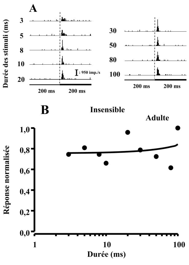 Figure  10:  (A)  Histogramme  péri-stimulus  (B)  et  courbe  d’accord  réponse-durée  d’un  neurone insensible à la durée de la stimulation (intensité: 17 dB SPL)