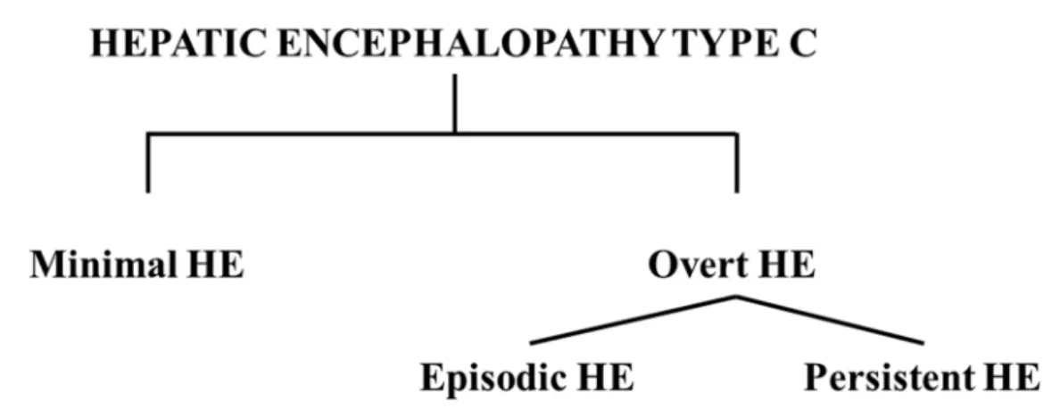 Figure 1. Classification of the subtypes of hepatic encephalopathy type C as described in the text