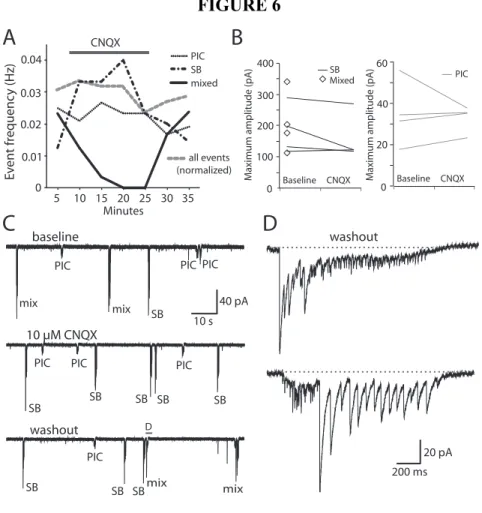 Figure 6. Blockade of glutamatergic neurotransmission abolishes mixed events in  motoneurons but not SBs or PICs