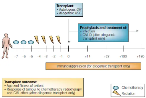 Figure  1.2.3 – Conditionnement  pré-greffe  et  facteurs  pouvant  influencer  le  résultat  de  la  HSCT