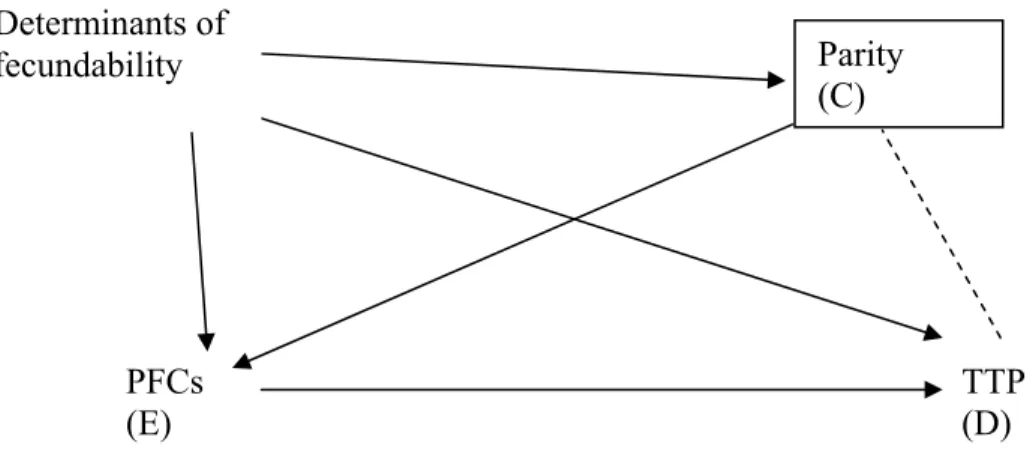 Figure 2. Directed acyclic graph representing covariates in the relationship between  PFC (Exposure) and TTP (Disease) and the role of parity as a Collider (C) 