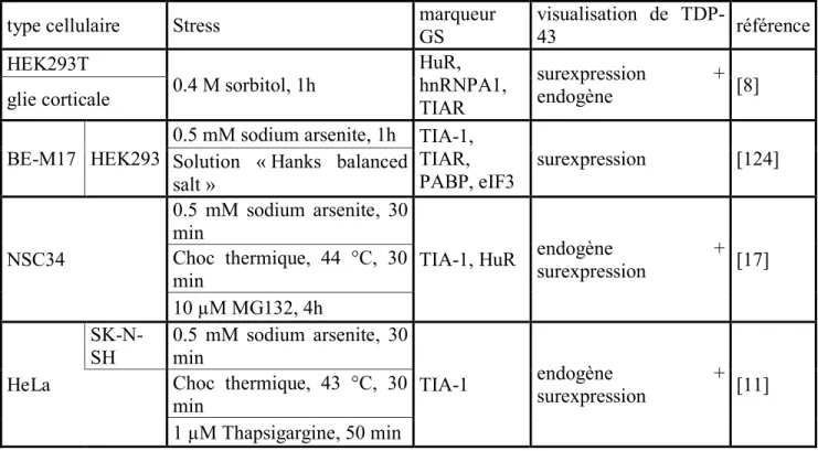 Tableau 1 : Localisation de TDP-43 aux Granules de Stress 