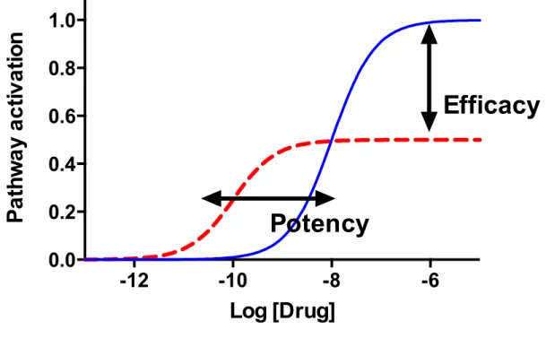 Figure 8. Pharmacology of GPCR activity. Schematic representation of the activity on one  pathway  as  a  function  of  the  drug’s  concentration