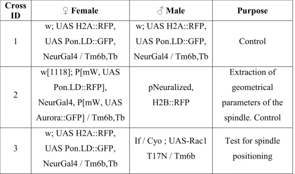 Table 1: The following table enlists the genetic crosses we performed in this study,  indicating  the  female  and  male  fly  stocks  used  and  the  experimental  purpose