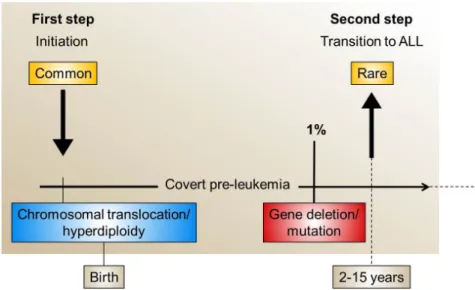 Figure  3.  Modèle  multi-étapes  du  développement  de  la  leucémie  aiguë  lymphoblastique  pédiatrique