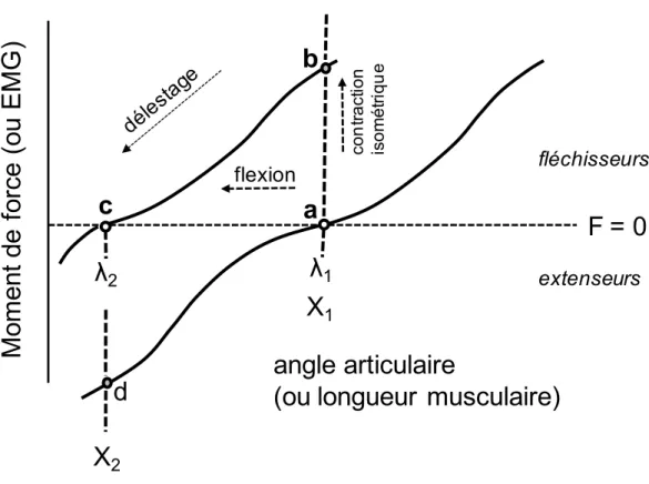 Fig. 2 : Modèle λ : Représentation des IC (courbes des caractéristiques invariantes)  