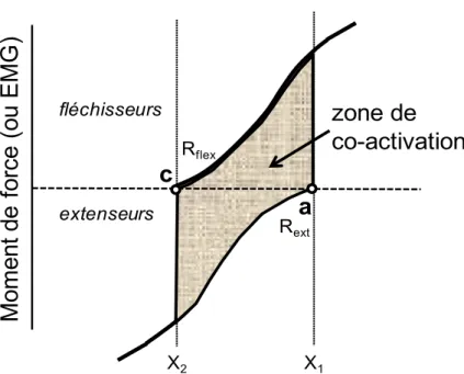 Fig. 4 : Représentation d’une zone de co-activation dans le cadre du modèle λ. 
