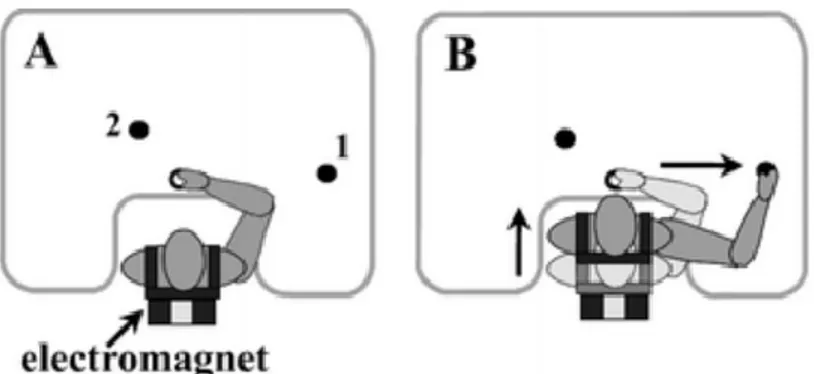 Fig. 5 : Position des cibles dans l’étude avec le paradigme du blocage du tronc d’Adamovich et al (2001)