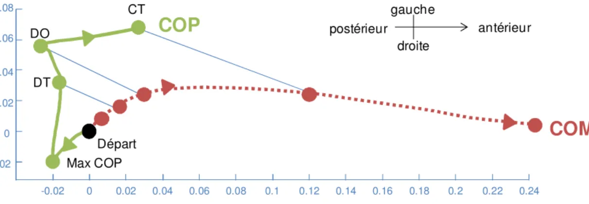 Figure 2.4: Trajectoire du COM et du COP durant l'initiation de la marche  La  ligne  en  rouge  en  pointillé  illustre  le  trajet  de  COM  alors  que  la  ligne  verte  représente celui du COP