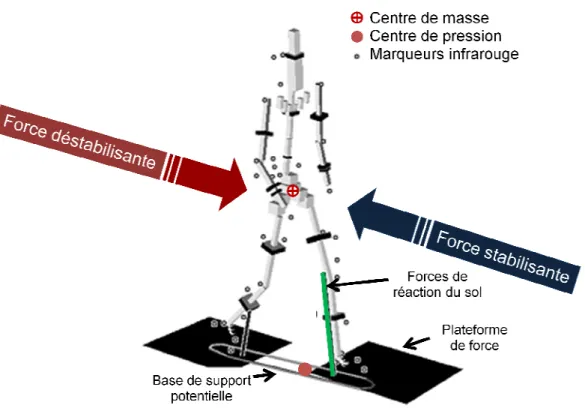 Figure 2.6: Modèle d’évaluation de l’équilibre dynamique par les forces  stabilisantes et déstabilisantes 