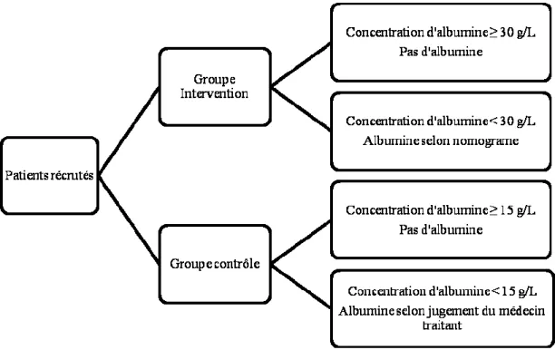 Figure 3 – Design de l’essai 