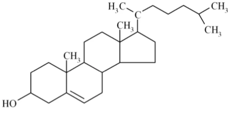 Figure 1. Structure chimique du cholestérol. 