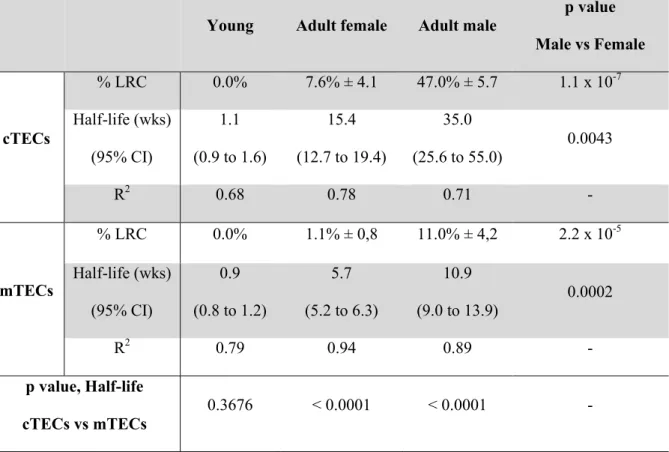 Table I. Turnover of TECs in young and adult mice. 