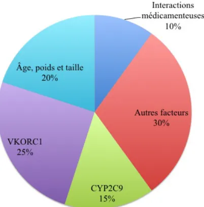 Figure  2 :  Facteurs  qui  influencent  la  réponse  à  la  warfarine.  (Adaptée  de  Jonas  DE  &amp; al., 