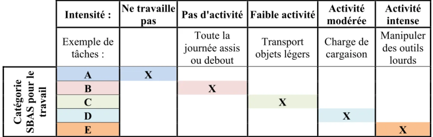 Tableau I : Catégorisation de l’activité physique au travail avec le SBAS 