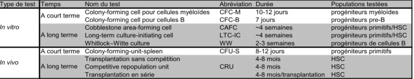 Tableau 2: Méthodes d’évaluation in vitro et in vivo des CSH et des progéniteurs 