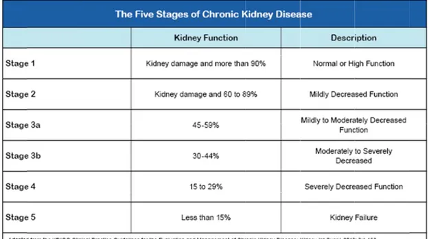 Table 1 Table 1 T  20- 30- 40- 50- 60-70 1-1. The 5 sta1-2. Average TABLE : AVERAGE (Years)-29-39-49-59-690+ ages of chronestimated GRAGE MEASUR nic kidney di GFR by age [2RED   GFR BY  A AVERAGE M sease (CKD)24]