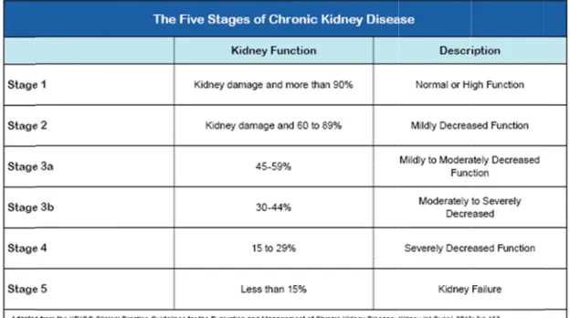 Table 1 Table 1 T  20- 30- 40- 50- 60-70 1-1. The 5 sta1-2. Average TABLE : AVERAGE (Years)-29-39-49-59-690+ ages of chronestimated GRAGE MEASUR nic kidney di GFR by age [2RED   GFR BY  A AVERAGE M sease (CKD)24]