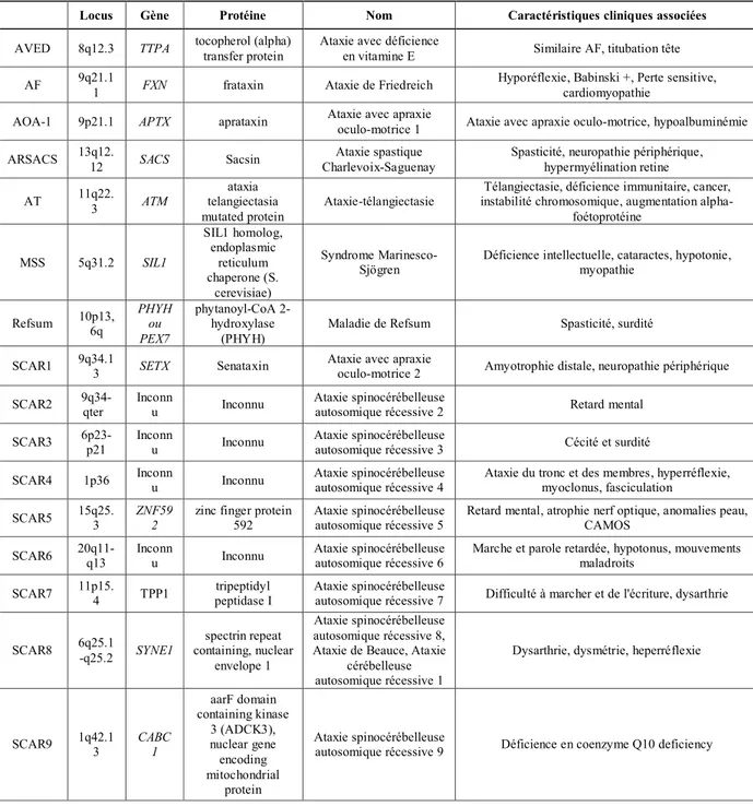 Table 1 : Causes génétiques des ataxies spinocérébelleuses autosomiques récessives 