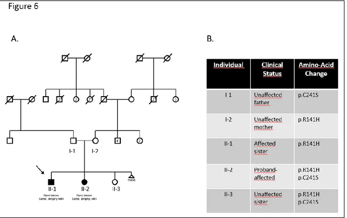 Figure 6: Index Family (A) Pedigree of the family. (B) Affectation status and segregation of  mutations in the family
