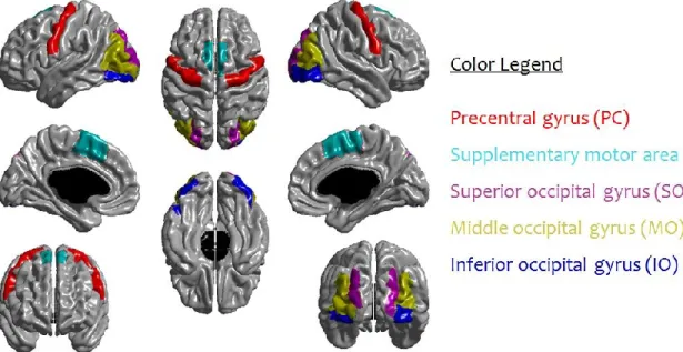 Figure 2. The five bilateral AAL regions of interest used as target masks for the probabilistic  tractography 
