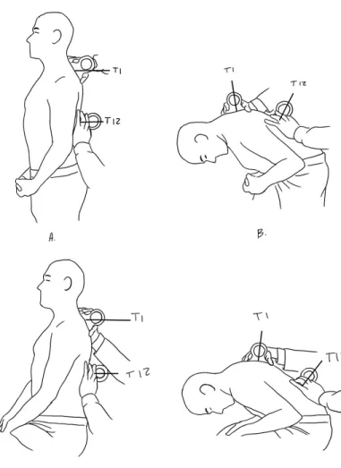 Illustration II: Flexion avant thoracique © Mathieu  Gagnon
