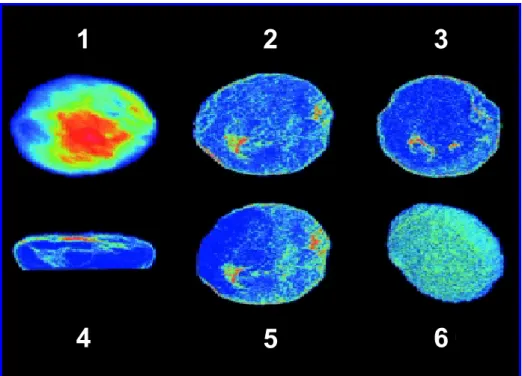 Figure 8: Different views of confocal micrographs of a single Sf9 cell expressing rPAR1