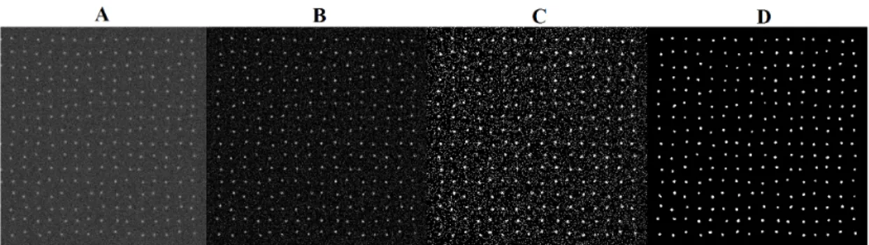 Figure 2.2: The 4 images show the processing pipeline of the MinSeg algorithm. Image A is a synthetic image with a SNR of 3 and containing 256 features