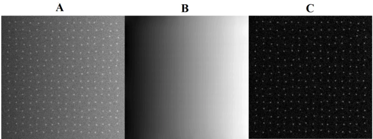 Figure 2.4: Panel A contains an image with a gradient fluorescent background and an