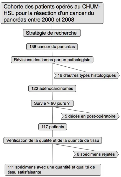Figure 2 - Cohorte des patients opérés pour un adénocarcinome du pancréas à l’hôpital Saint- Saint-Luc du CHUM