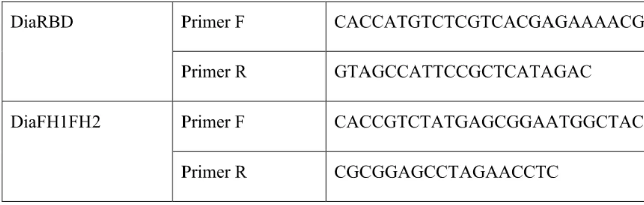 Table  II:  Séquences  des  amorces  utilisées  pour  faires  les  troncations  de  Dia  RBD  et  FH1FH2 