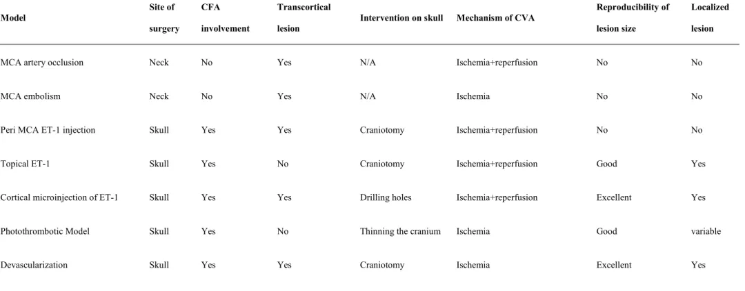 Table 2 - A summary of currently used rat models of ischemic stroke  Model  Site of  surgery  CFA  involvement  Transcortical 